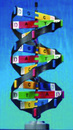 DNA模型(組裝完成型)(歐美貨)
